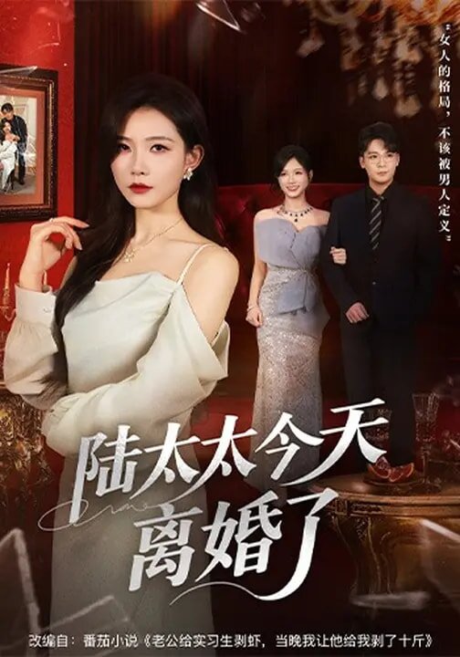 陆太太今天离婚了第01集