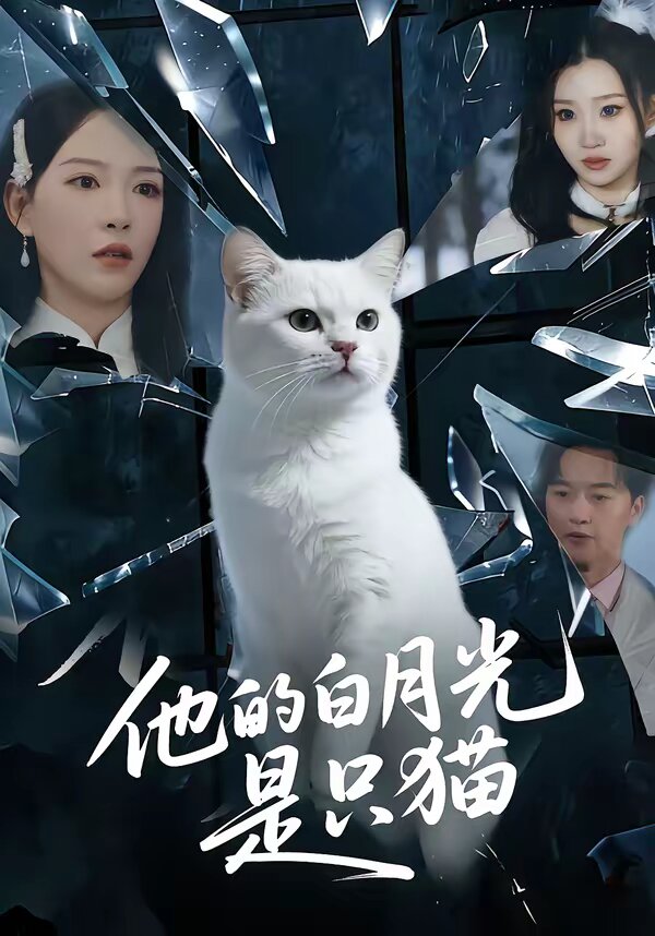 他的白月光是只猫第04集