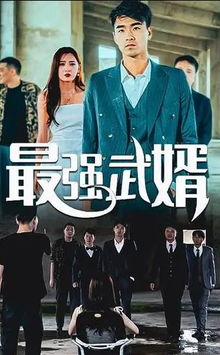 最强武婿第12集