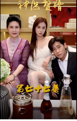 神医赘婿第101集