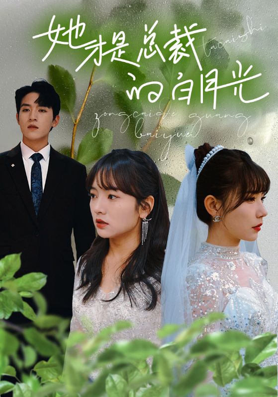 她才是总裁的白月光第02集