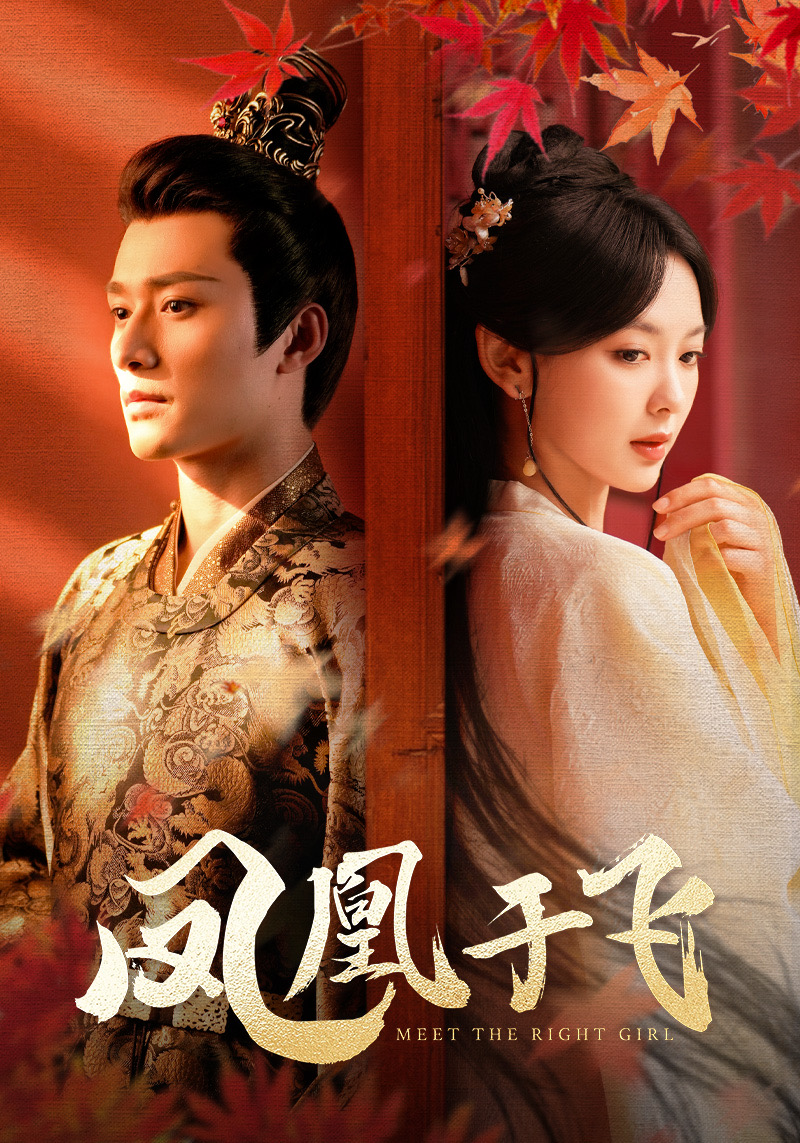 凤凰于飞第16集