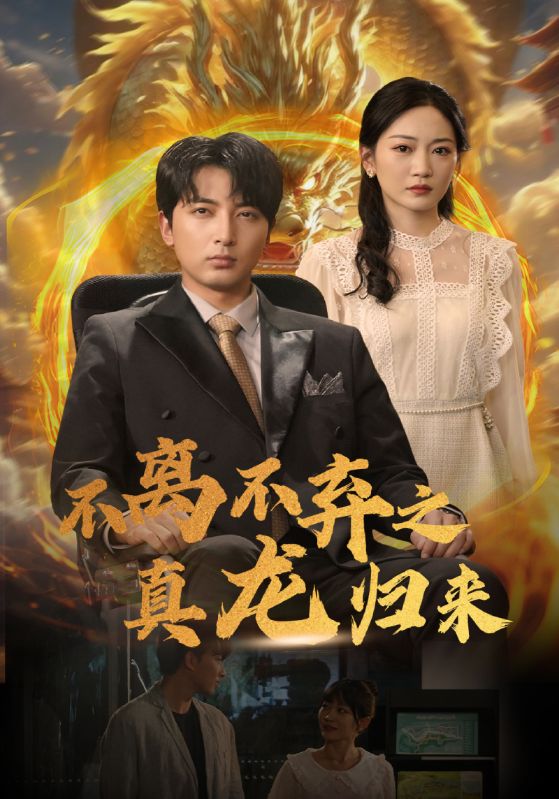 不离不弃之真龙归来第12集