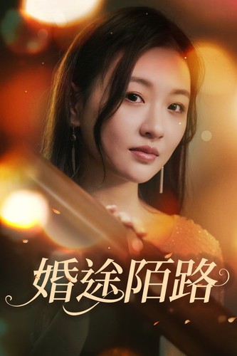 婚途陌路第01集