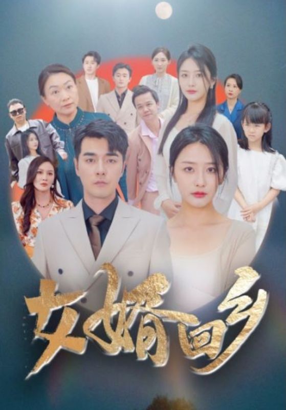 女婿回乡第101集