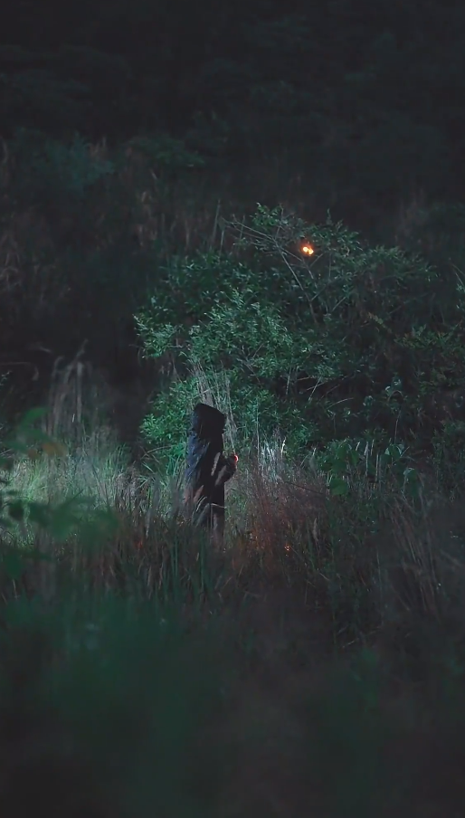 长风散尽终遇你第01集