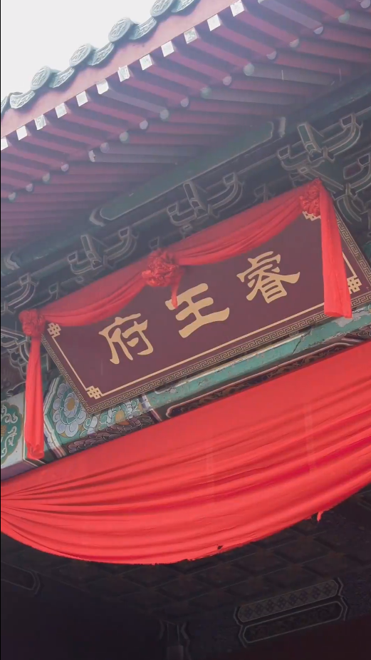 新：王妃她又美又飒第101集