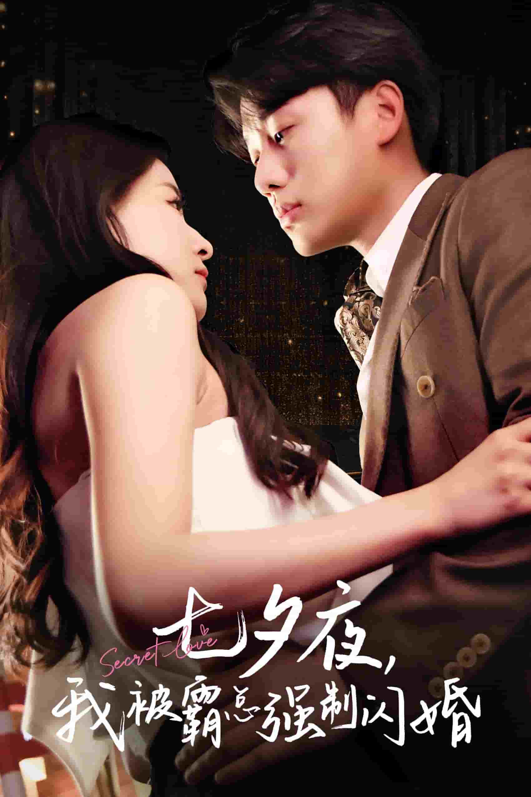 七夕夜我被霸总强制闪婚第02集