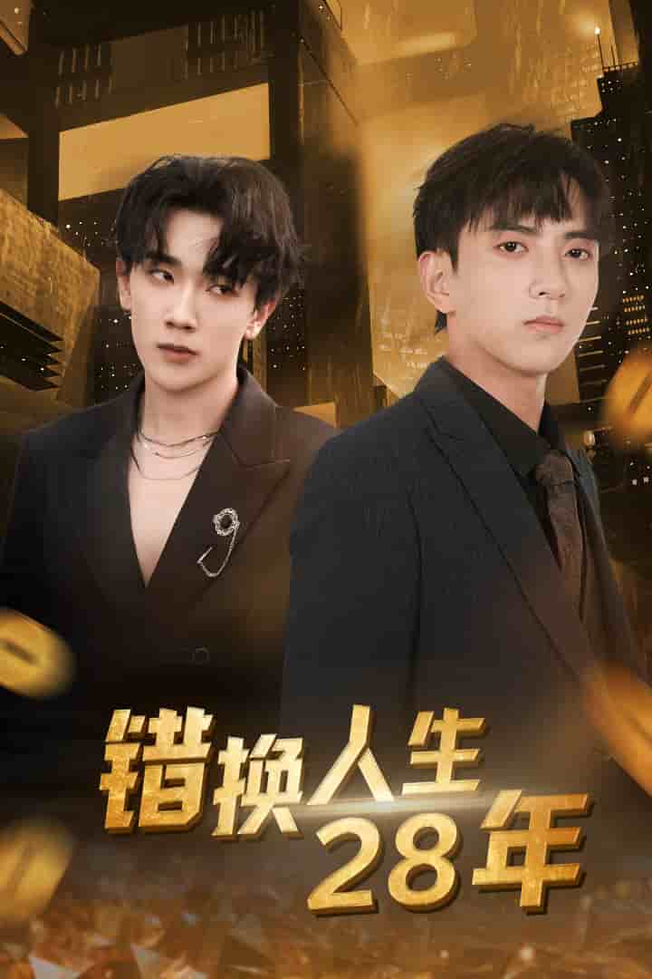错换人生28年第12集