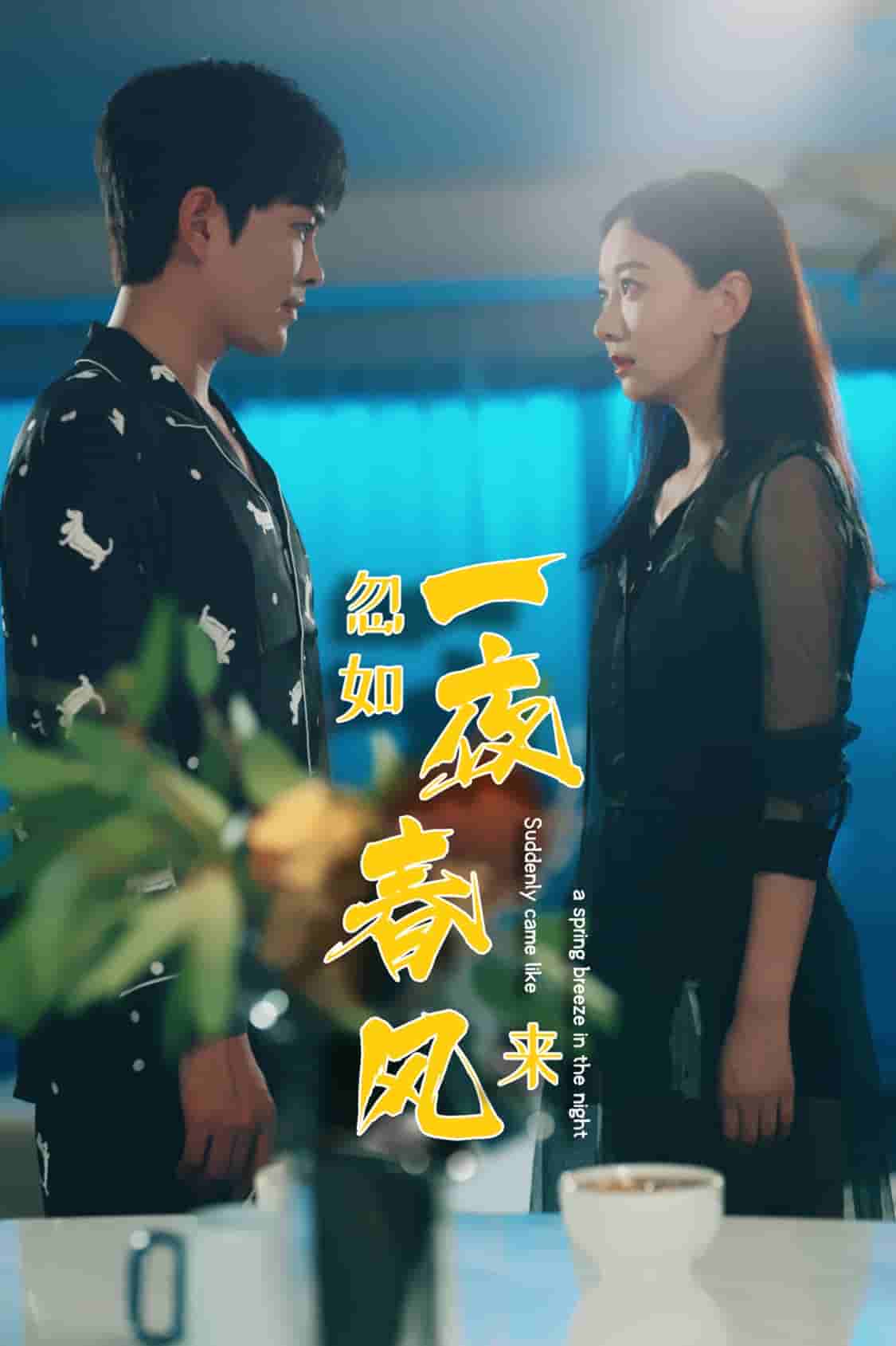 忽如一夜春风来第01集