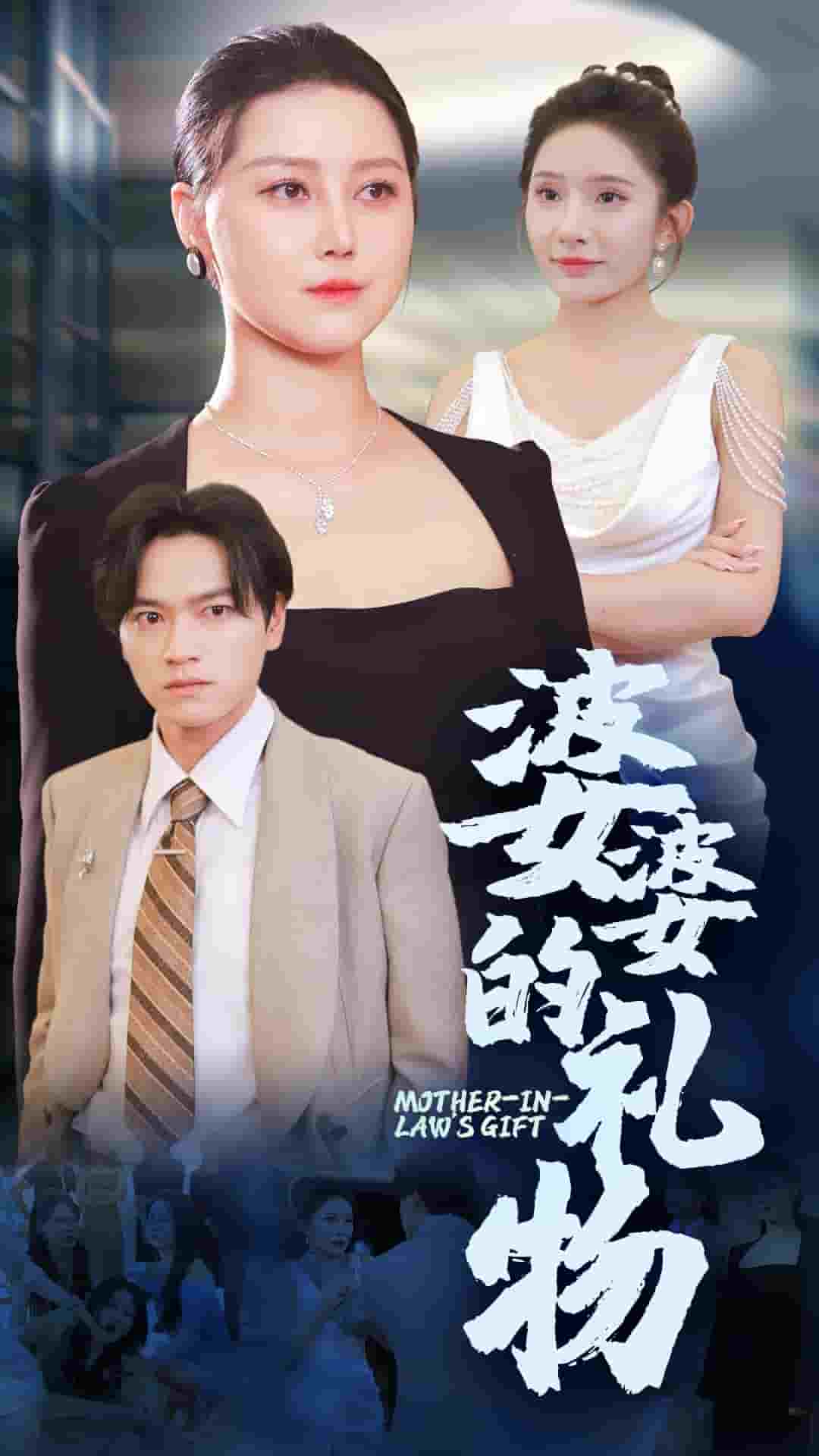 婆婆的礼物第03集