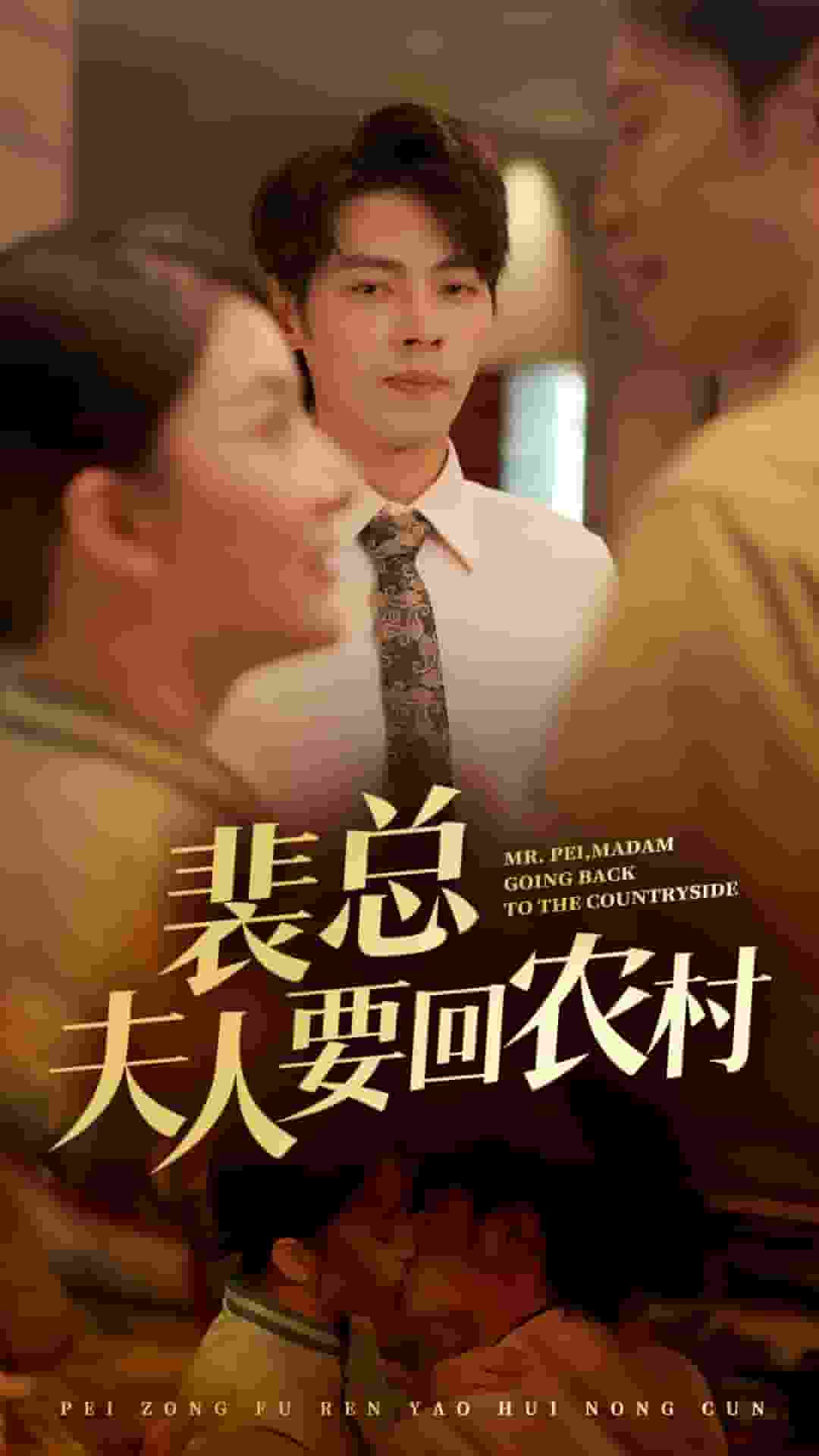 裴总夫人要回农村第02集