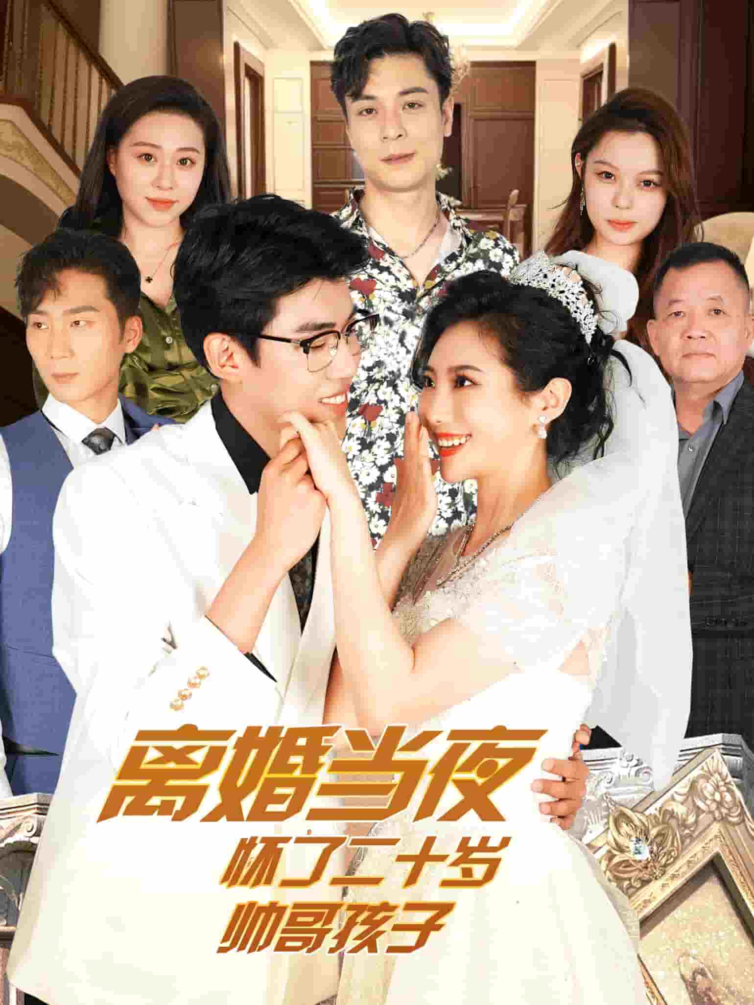 离婚当夜怀了二十岁帅哥第02集