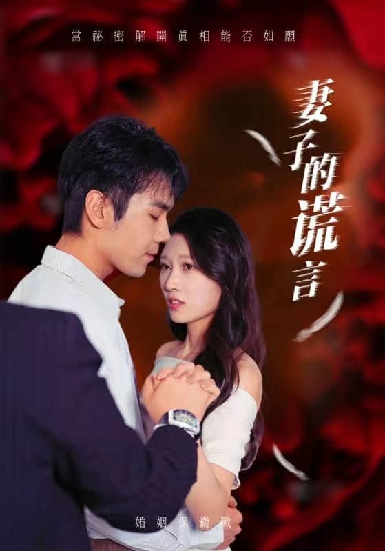 妻子的谎言第02集