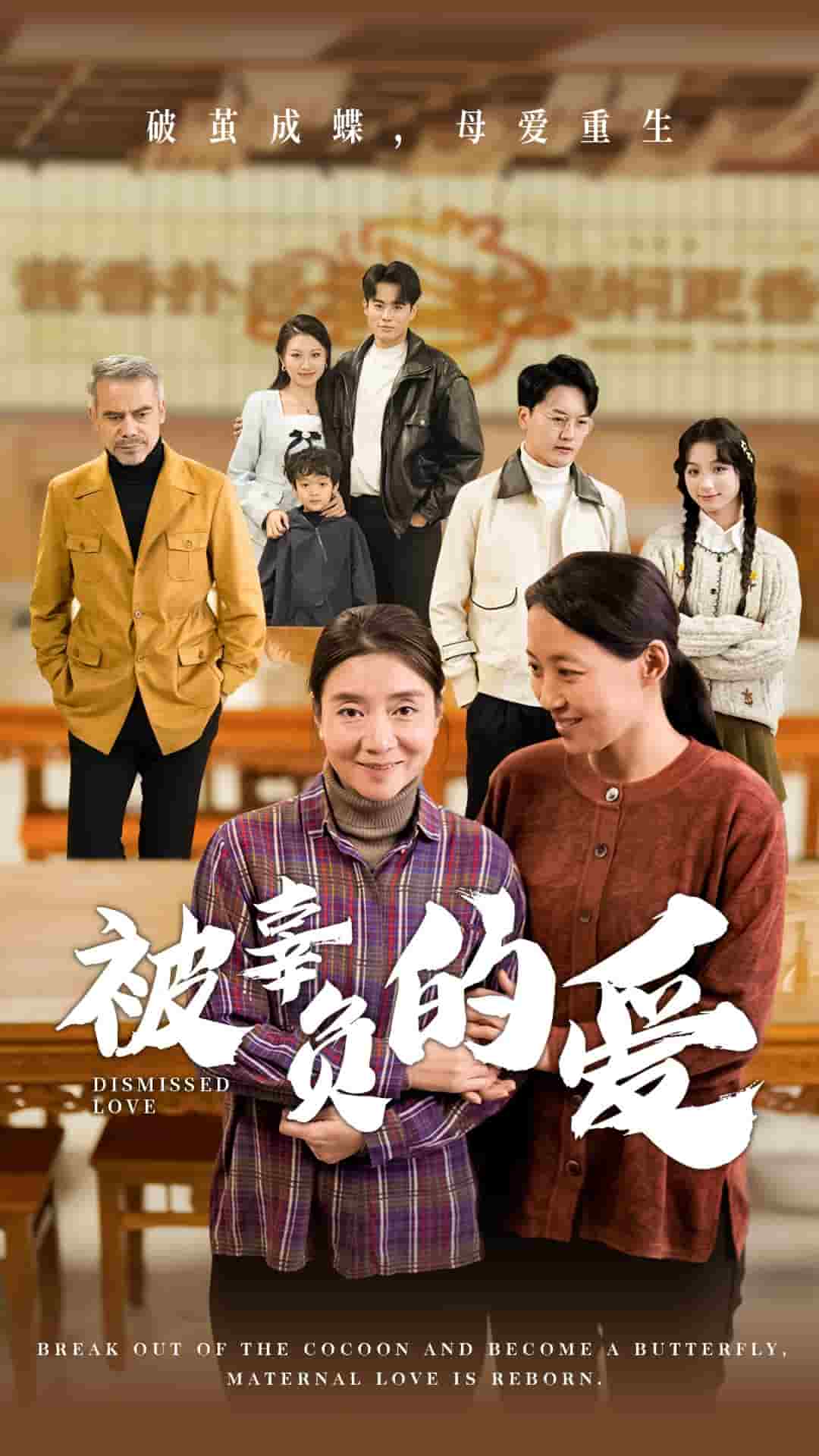 被辜负的爱第02集