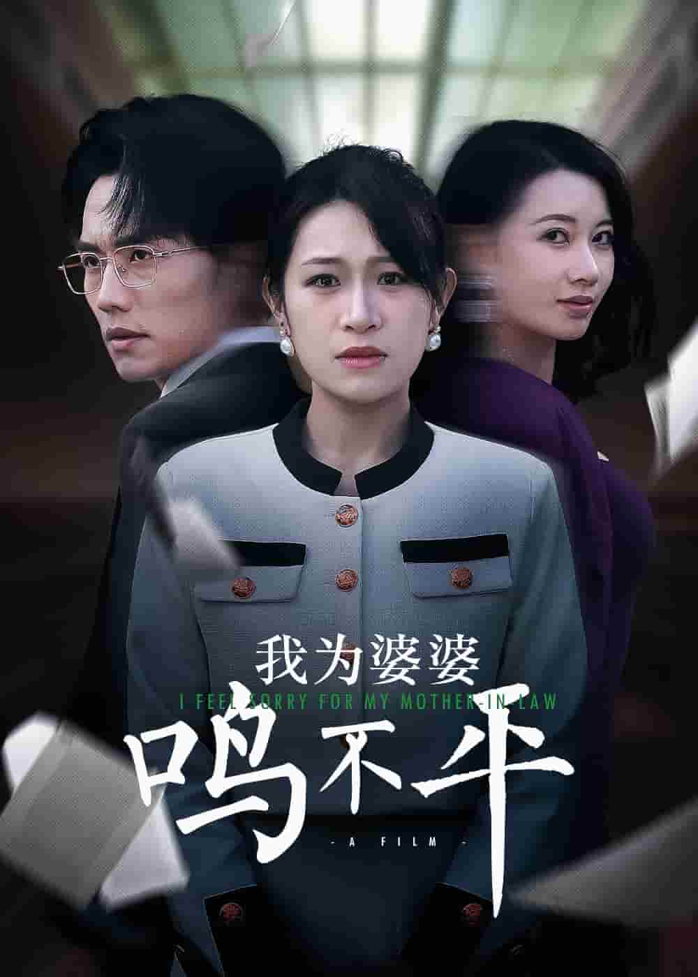 我为婆婆鸣不平第2集