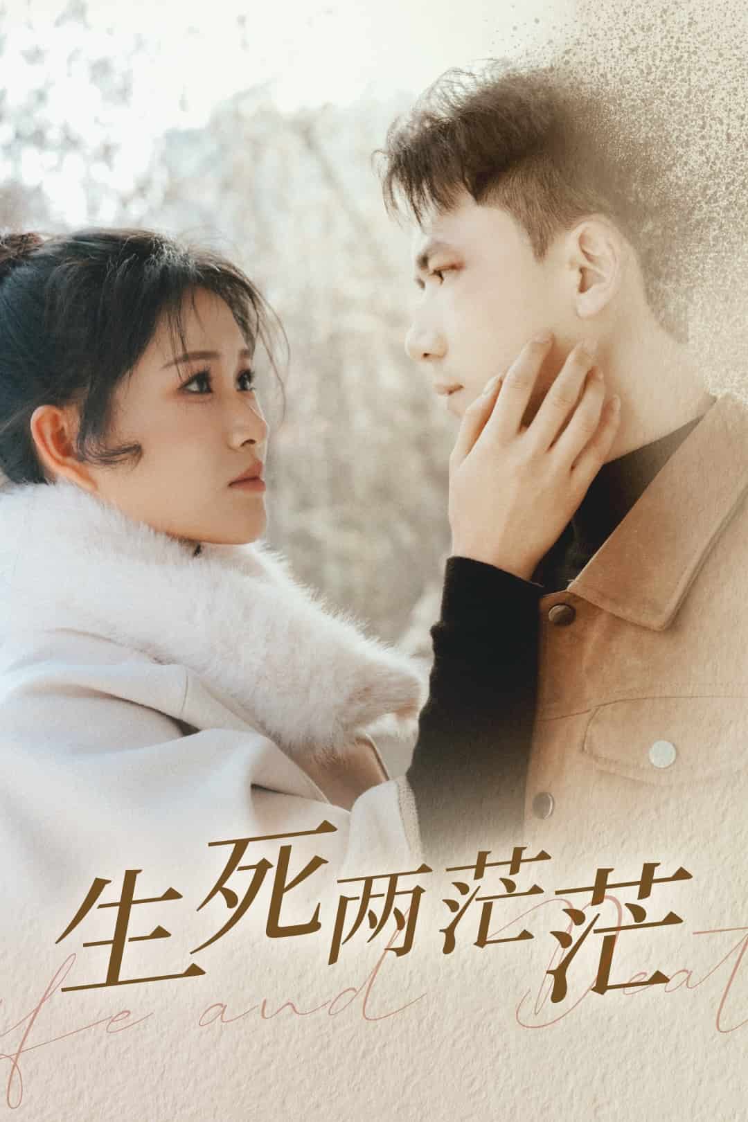 生死两茫茫第1集