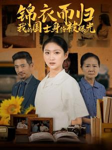 锦衣而归我的国士身份被曝光第2集