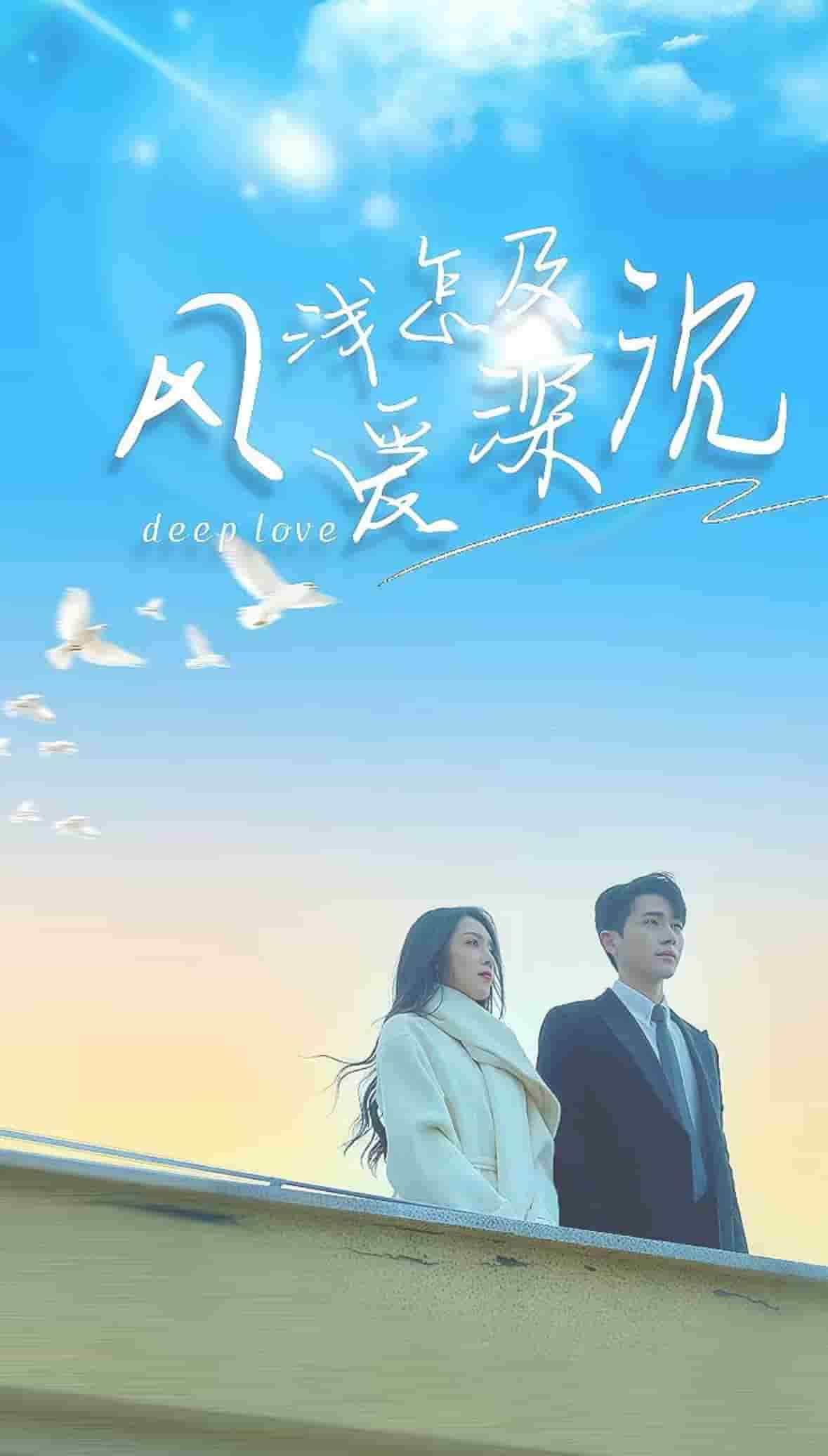 风浅怎及爱深沉第2集