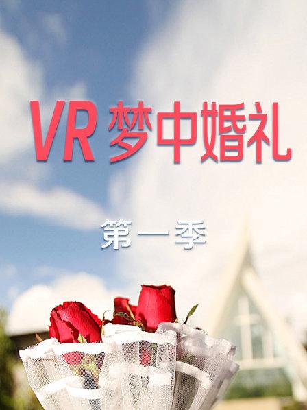 VR梦中婚礼第一季第01期