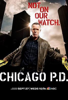 芝加哥警署第五季第11集