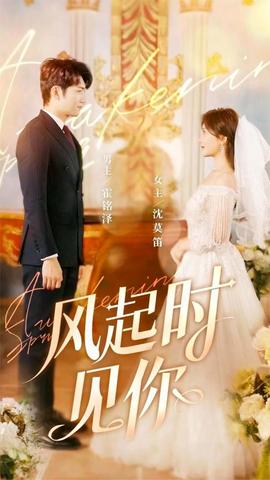 风起时见你全集(大结局)