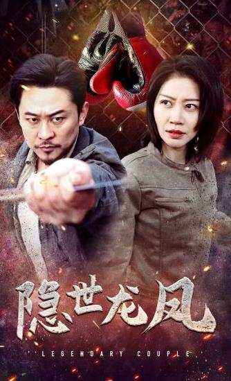 隐世龙凤第16集