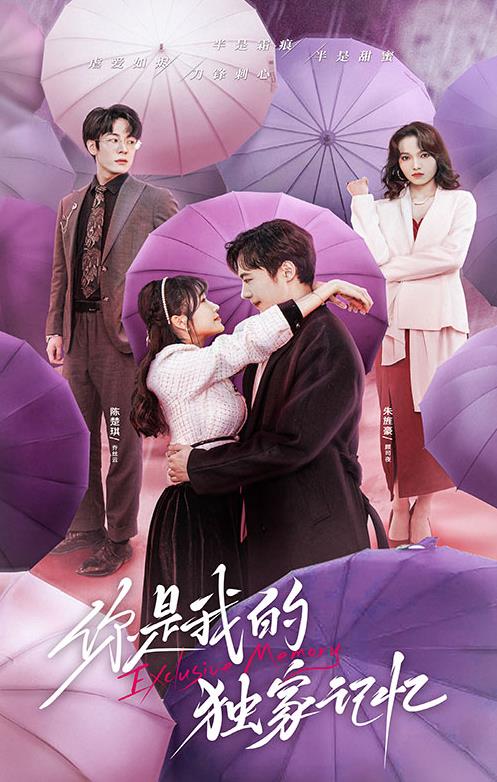 你是我的独家记忆第25集