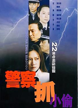 警察抓小偷(全集)